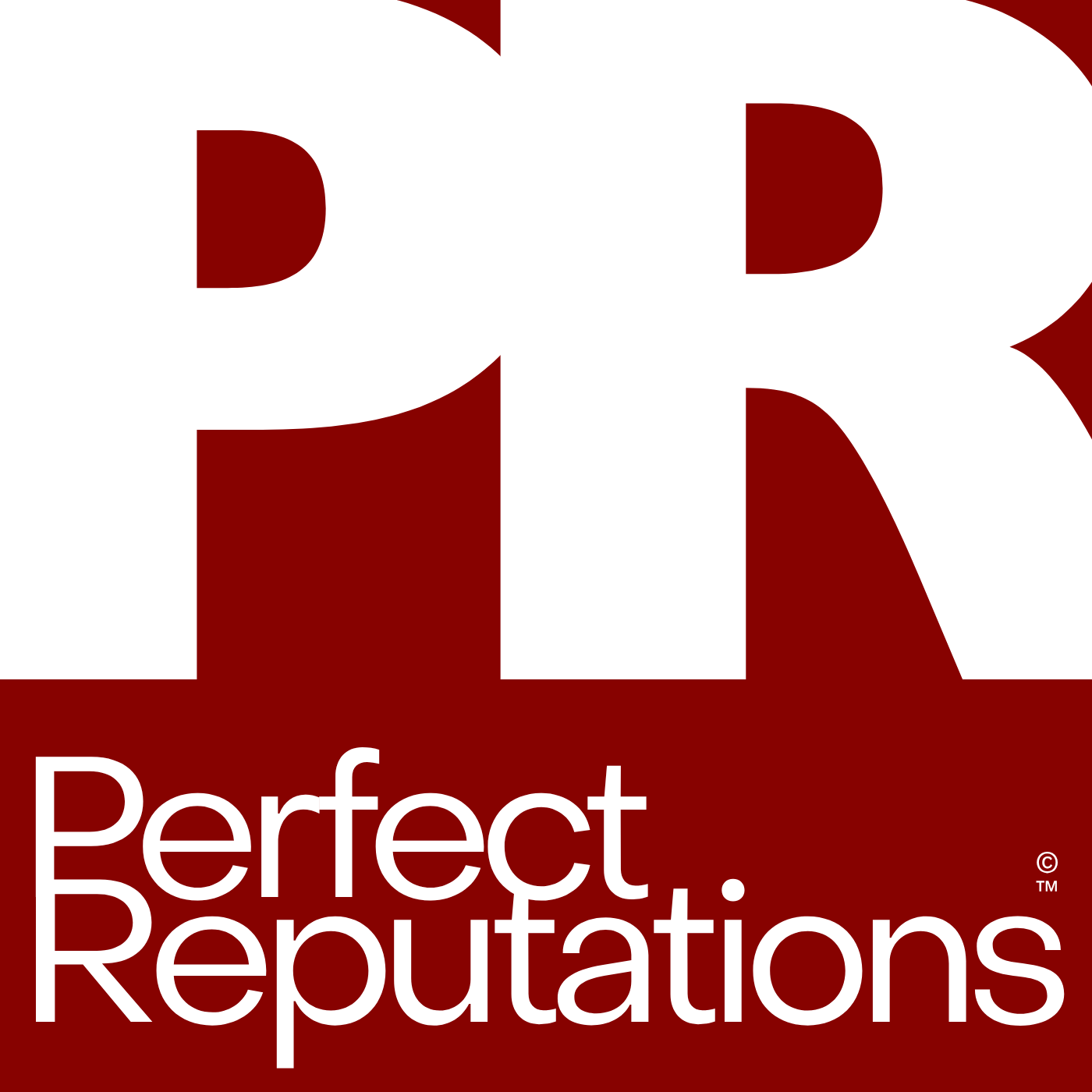 PerfectReputations AI Age Identity Consulting Services Logo